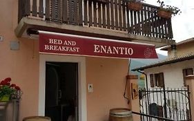 B&B Enantio
